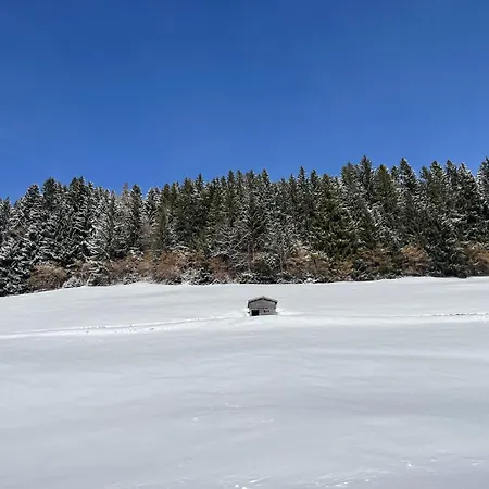 Panorama Nest - Premium Card Im Sommer Appartamento *