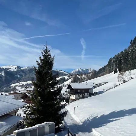 Panorama Nest - Premium Card Im Sommer