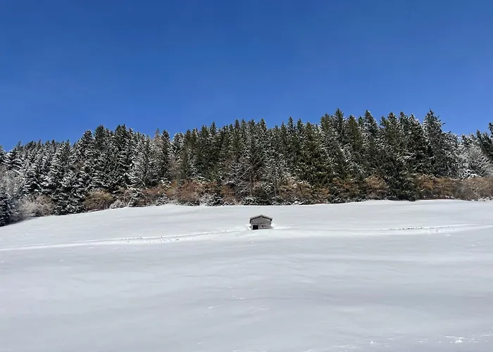 Panorama Nest - Premium Card Im Sommer Lejlighed *